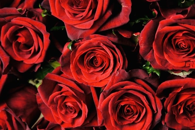 薔薇の結界♡自分だけの特別な魅力を開花させます 薔薇のエネルギーで作った結界で魅力を底上げします イメージ1