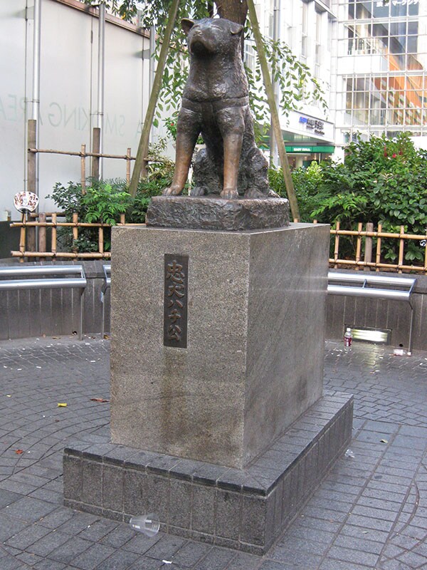 渋谷の旅行をプランニング致します 生まれも育ちも渋谷の私が教えます。 イメージ1
