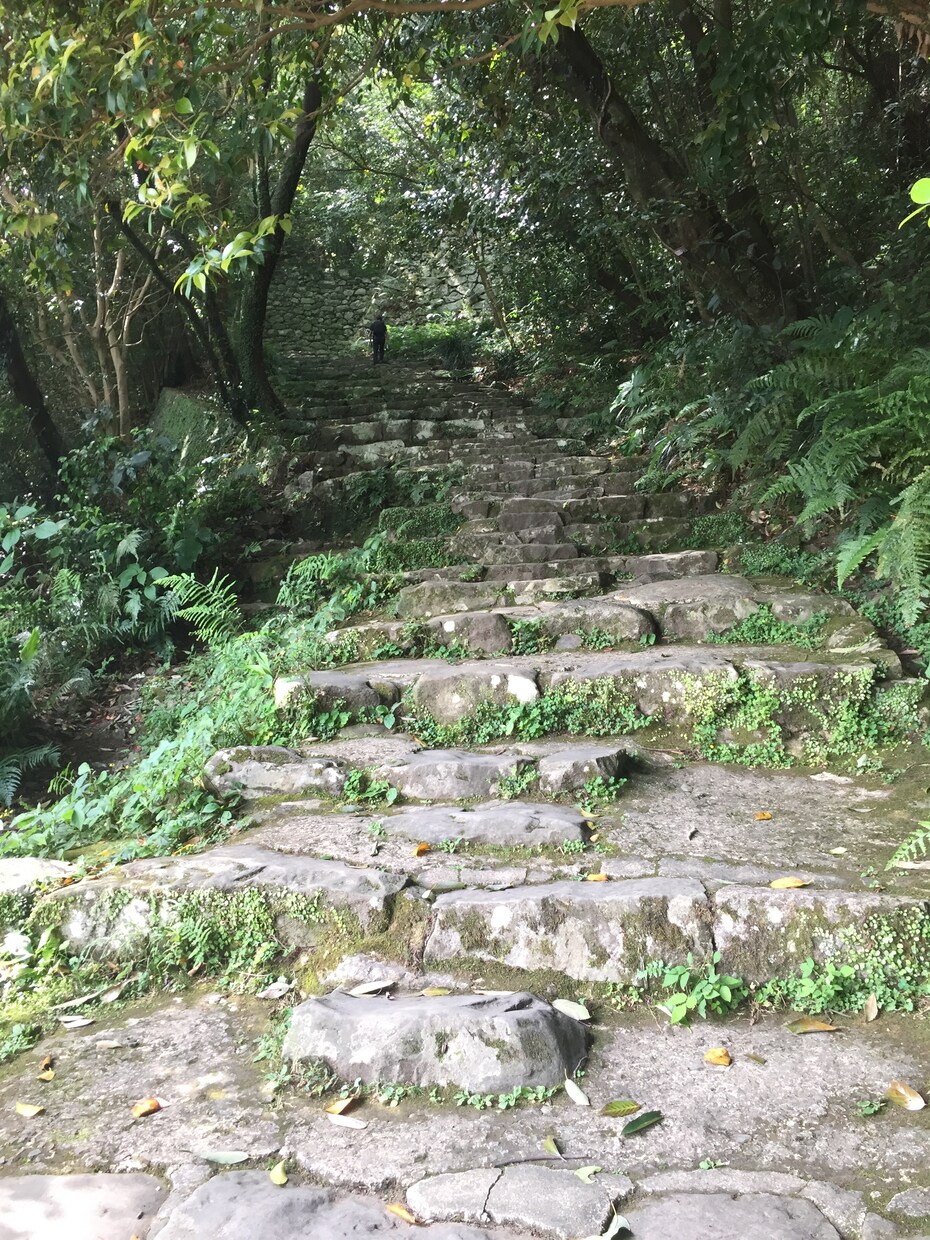 子育て、親子関係のご相談、お話聞きます 親の接し方次第で子どもは大きく変わる イメージ1