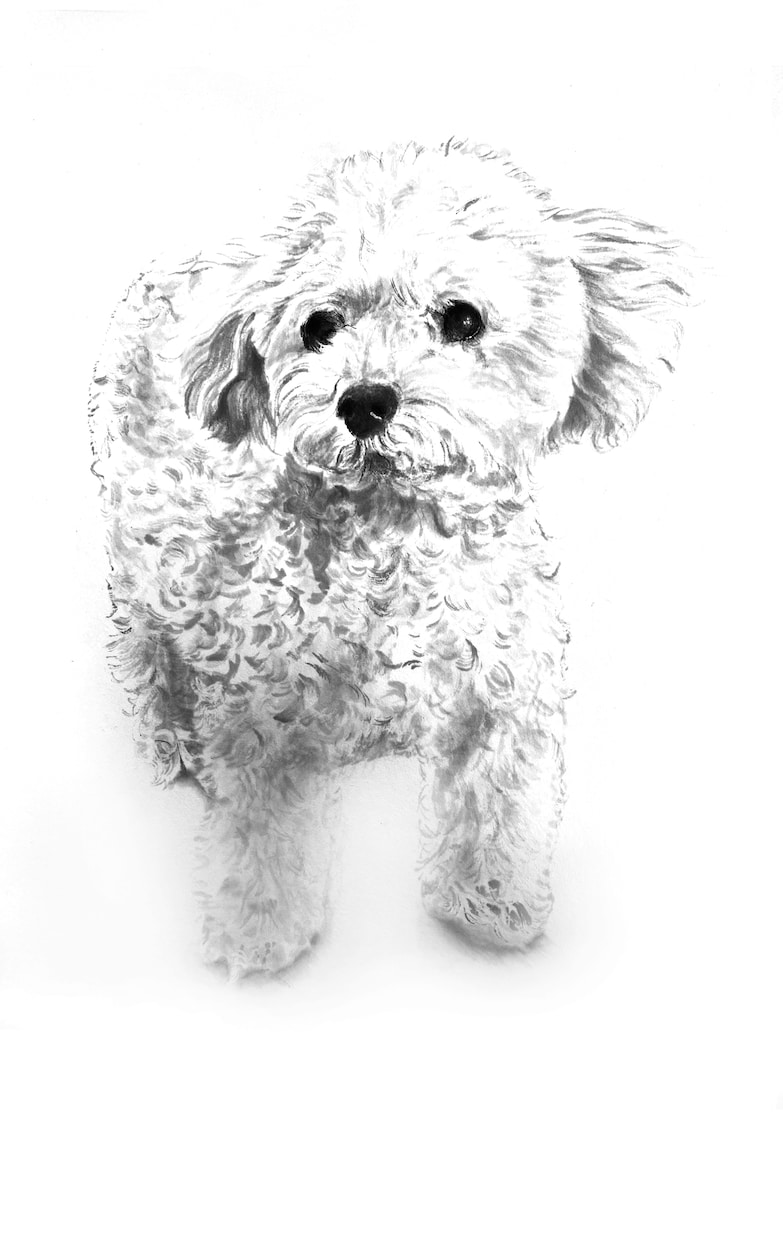 ペットの写真で水墨画を描きます 愛犬、愛猫の写真を水墨画で個性的なアート作品に仕上げます！ イメージ5