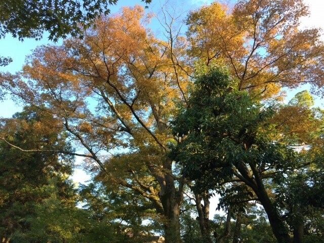 ぽっかり空いたあなたの心の穴を埋めます 子育てがひと段落した途端、ふっと寂しさを感じてしまったママへ イメージ4