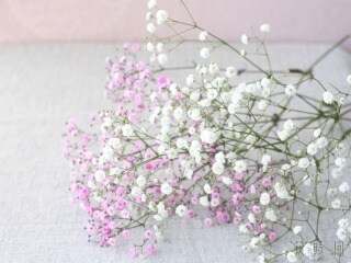 あなたのお悩み愛のタロット占い師、銀星が解決します 恋愛、仕事、お金、人間関係、復縁、未来、結婚など占います。 イメージ1