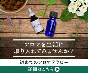 コスパ最高！ハイクオリティー！なバナー制作します ココナラOPENキャンペーン！先着20作品！格安1500円で イメージ6