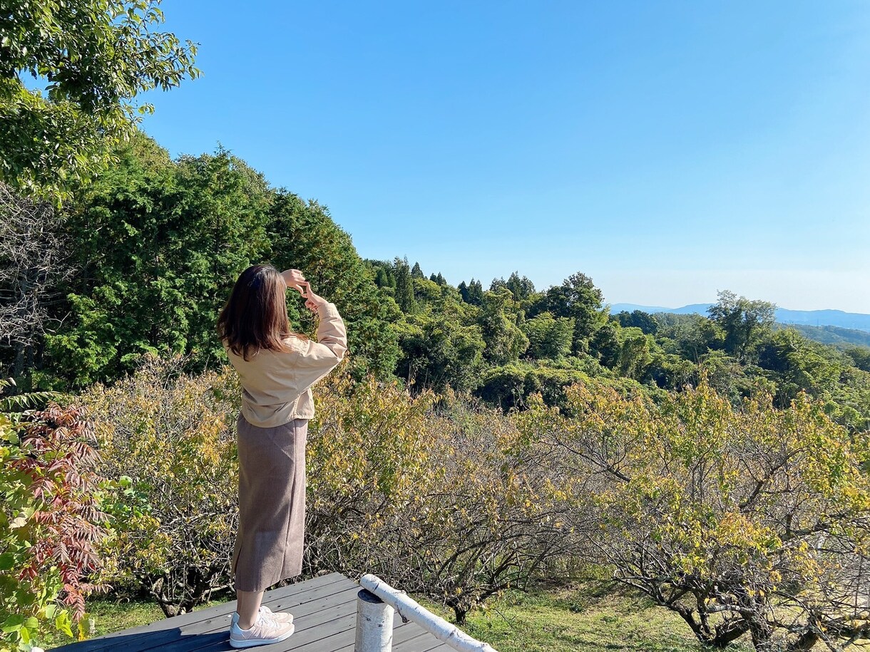 子育ての悩みや保育士さんの悩みとことん聞きます 元公立保育士がお話とことん聞きます！持ち帰り仕事0へ！！ イメージ1