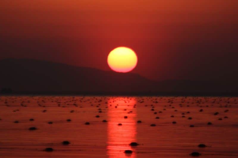 なんだか態度が変？お相手の気持ち霊視カードでみます もしかして浮気してる？そんな不安な気持ちに寄り添い鑑定します イメージ1