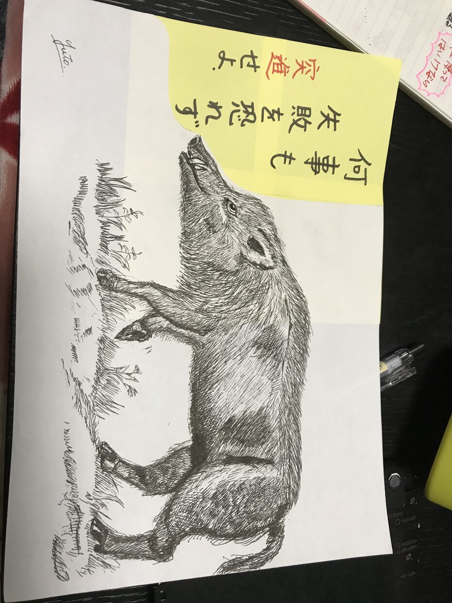 動物イラスト描きます 色を使わずにボールペンだけで表現します。 イメージ3