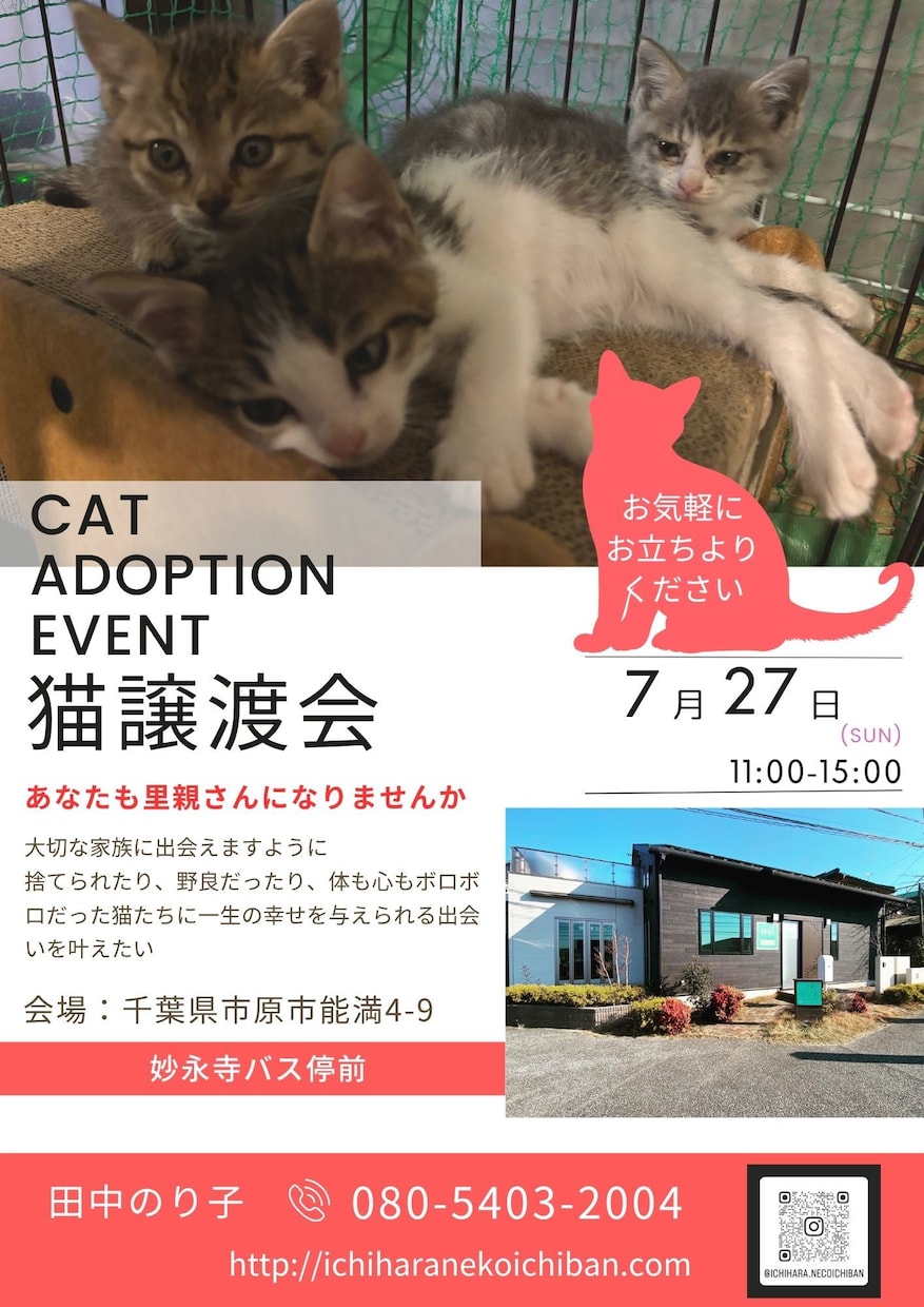 地域密着！保護猫イベントのチラシお作りします “会いに行きたい”と思ってもらえるデザインを。 イメージ2