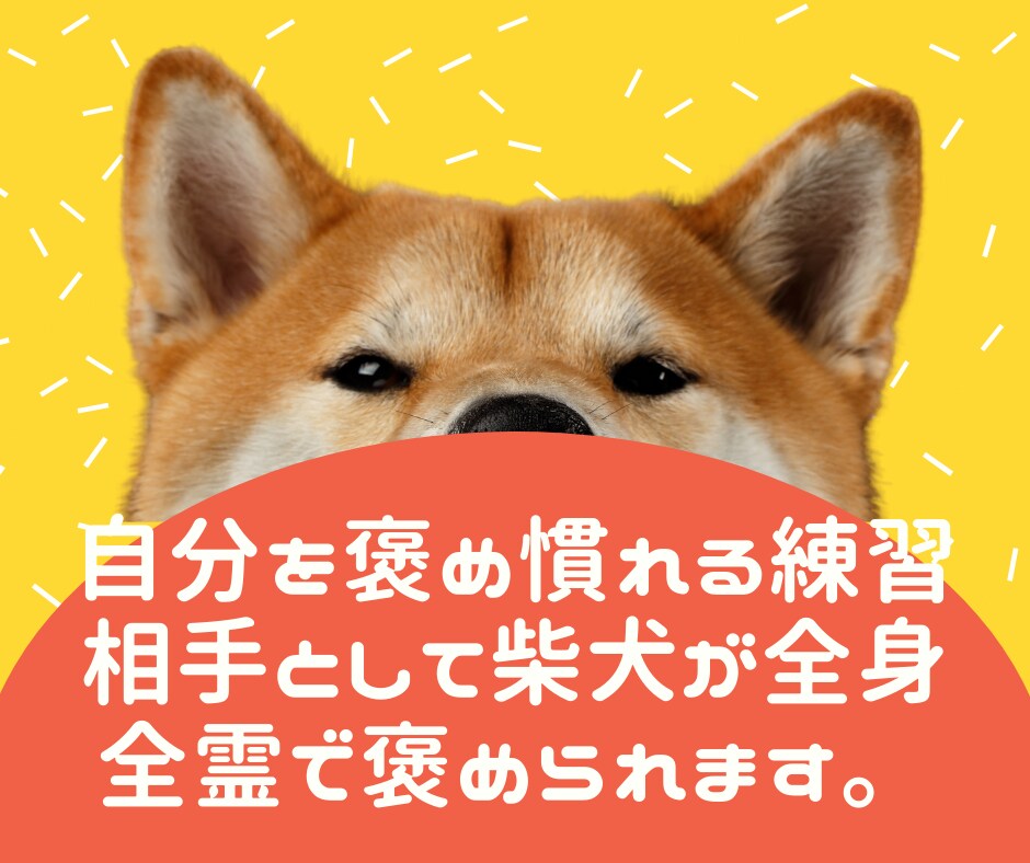自分を褒め慣れるまで柴犬が全身全霊で褒められます ほめよ、たたえよ、柴犬を！褒めトレーナー「ほめシバ」 イメージ2