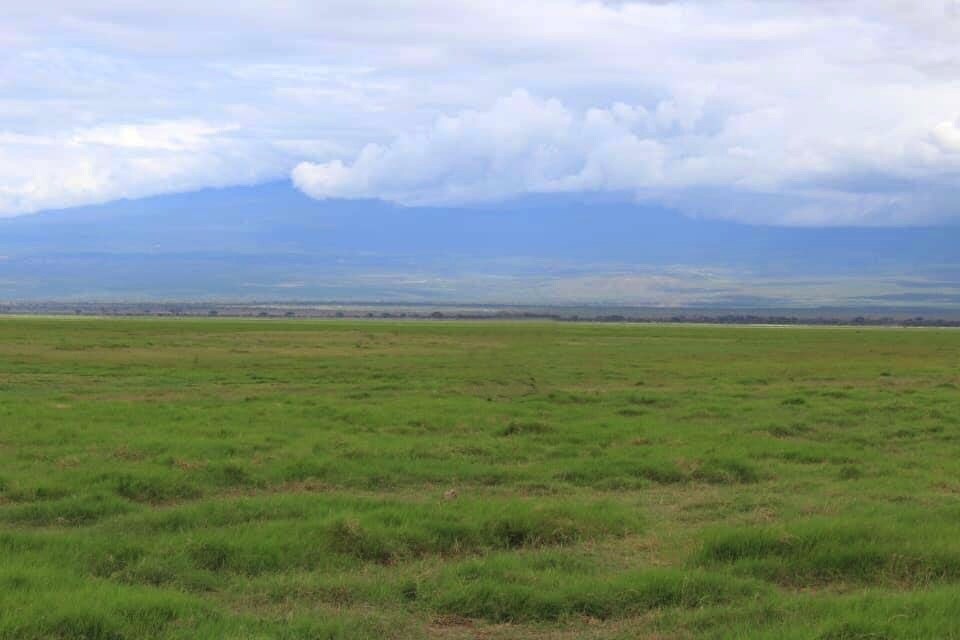 背景の不要なもの消します 旅行などで撮った風景、より洗練させます！ イメージ4