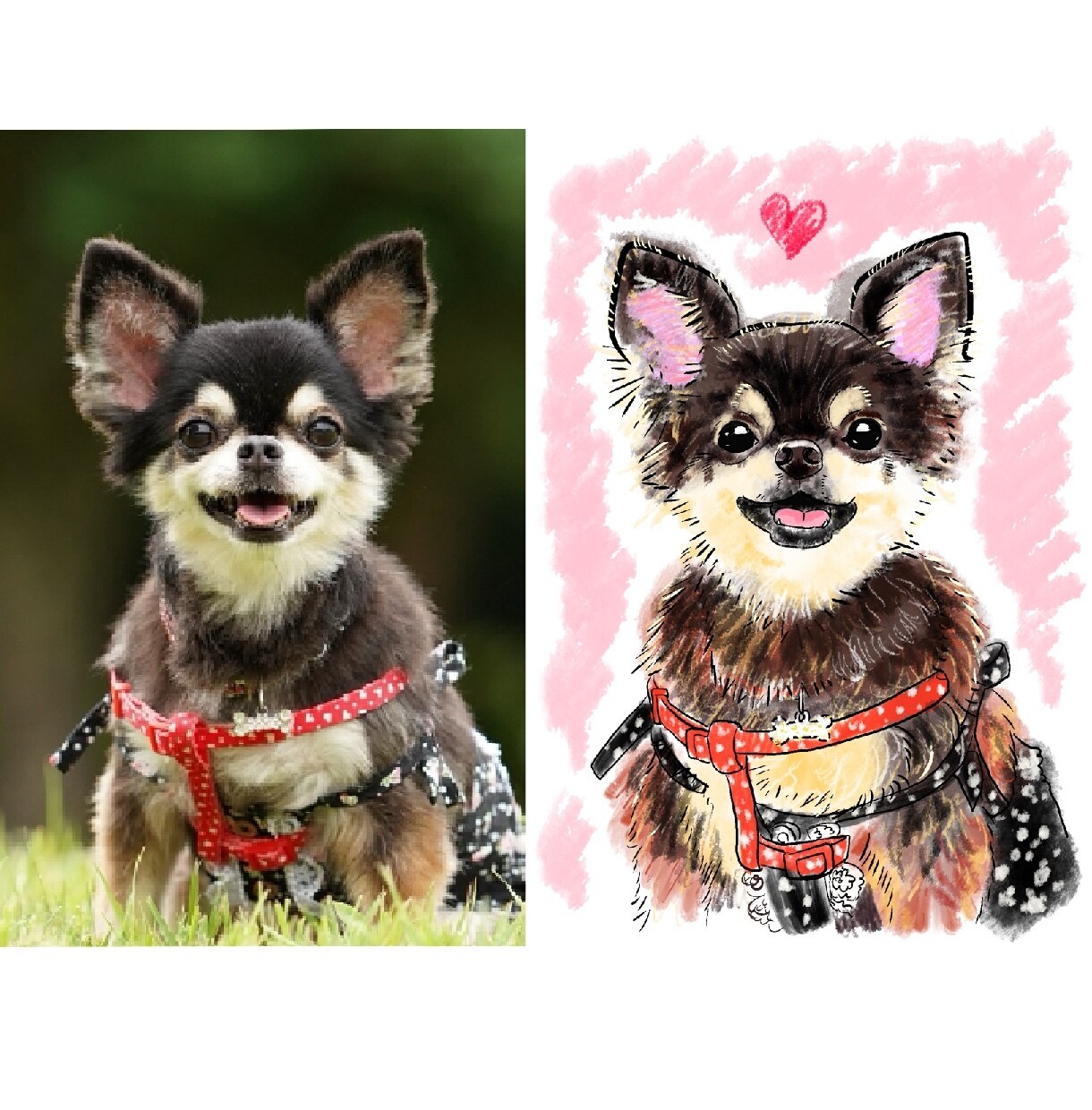 ペットの似顔絵イラストやアイコンお描きいたします お写真を元にご家族さまのデジタルイラストをお描きいたします！ イメージ3