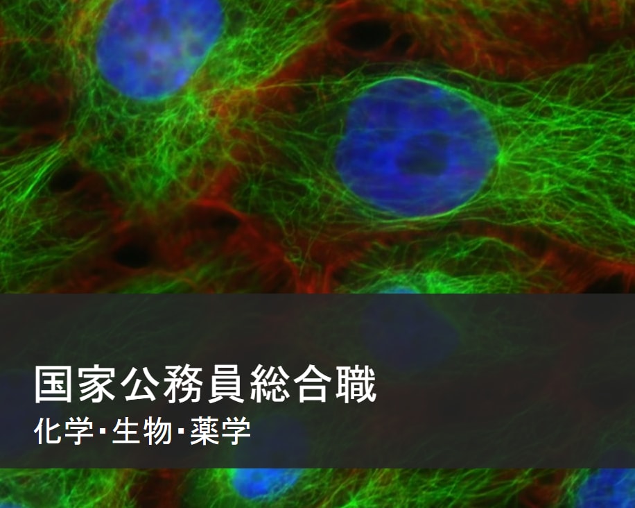 国家総合職化学生物薬学 専門択一解答解説作成します 国家総合職　化学・生物・薬学区分現役合格者が答えます。 イメージ1