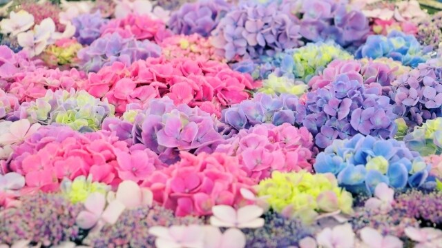 不倫・浮気の未来を見通す！真実を占います 不倫・浮気など複雑恋愛のプロが闇を解き明かします。 イメージ4