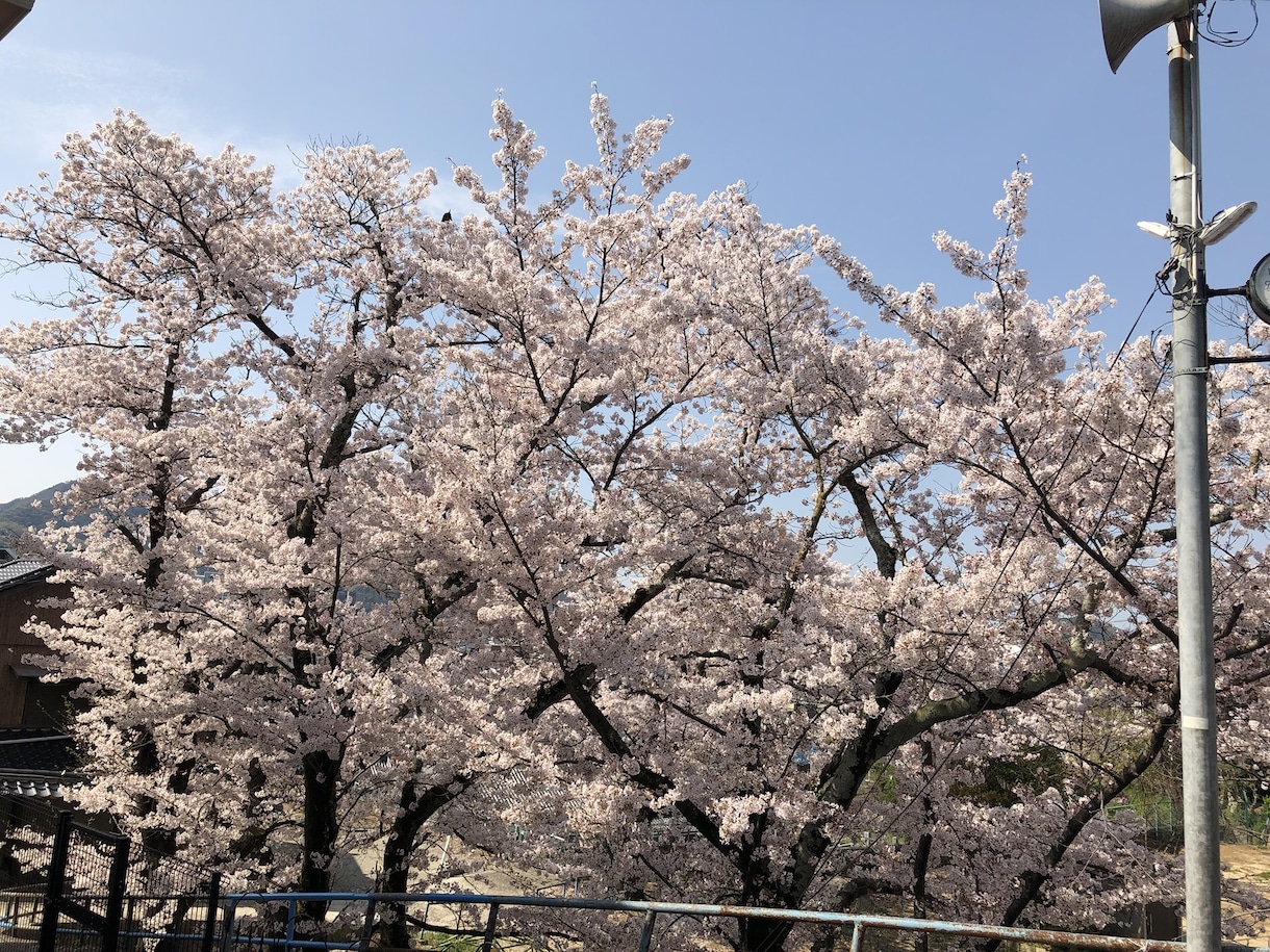 なんでも話を聞きます なんの資格もない、ただのオジサンがなんでも話をききます！ イメージ1