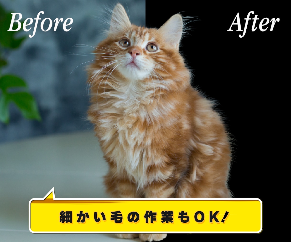 お好きな写真や画像を切り抜きします 即日対応可！時間がかかる毛髪などもキレイに仕上げます！ イメージ2