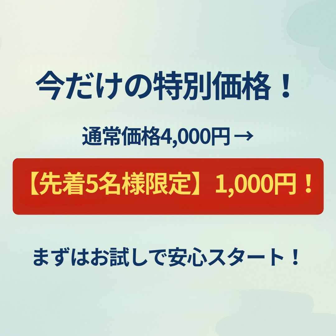 50代・60代でも安心！AIデビューを応援します 「AIは難しそう…」そんな不安をやさしく解消！ イメージ8