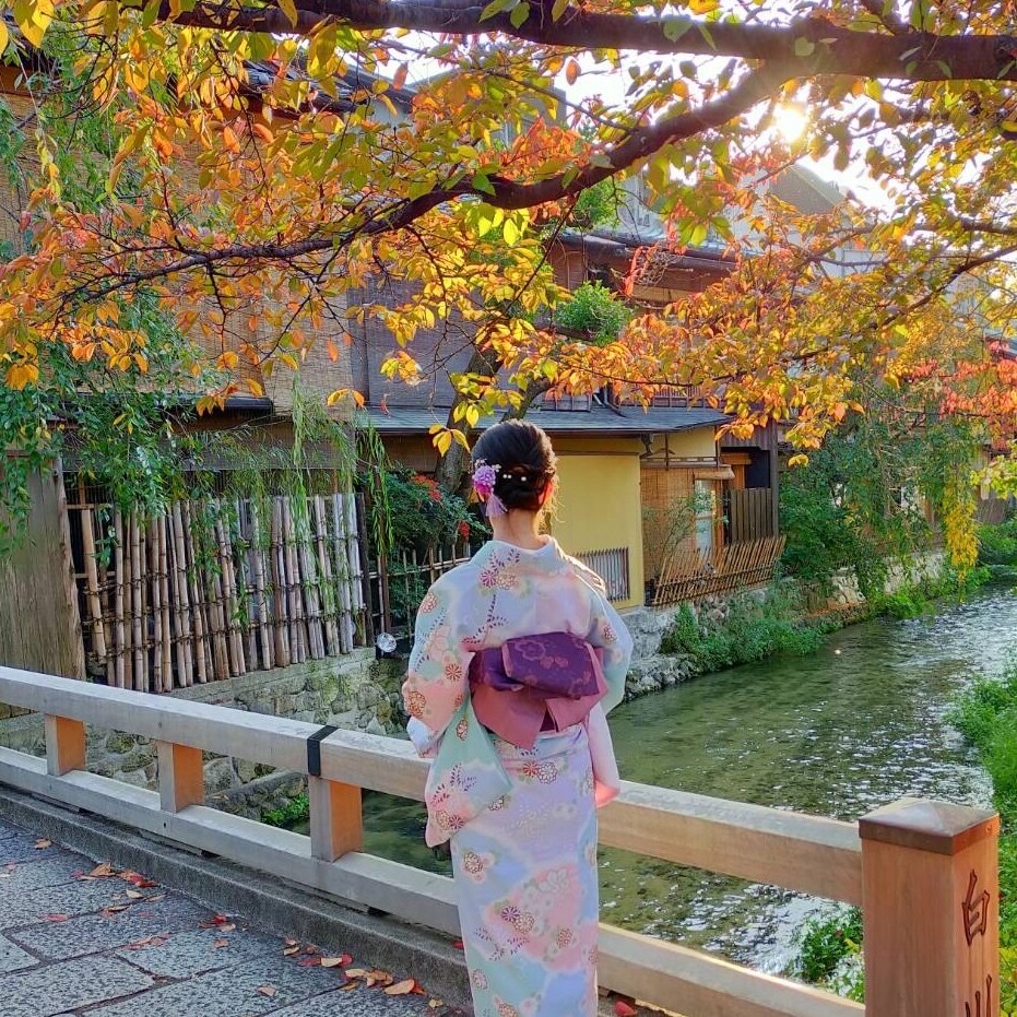 なんでもお話聞きます 元宗教二世、元拒食症患者です。軽くタロット占いもやってます。 イメージ1