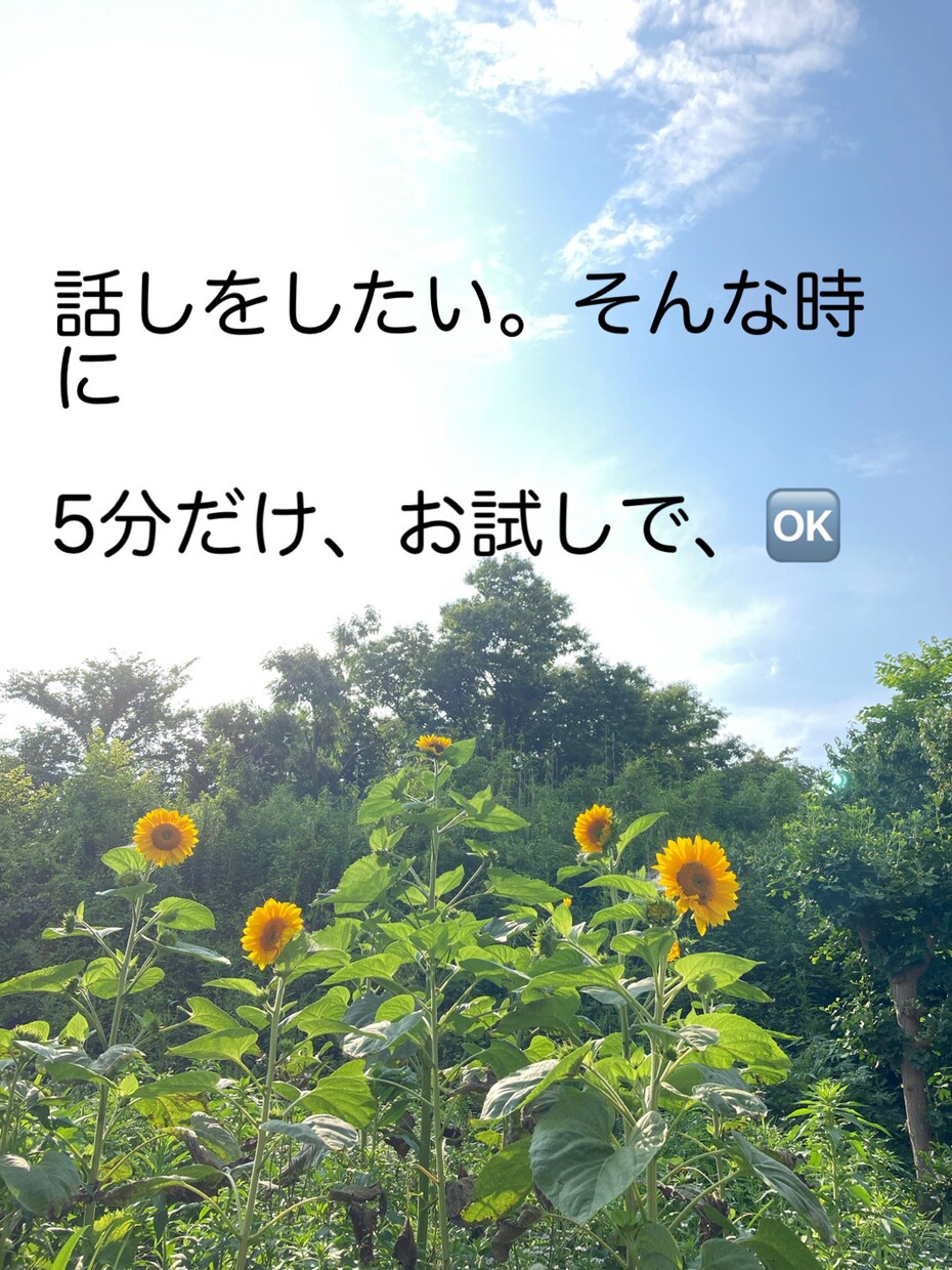 人間関係の悩みや相談、愚痴聞きなど電話相談します 5分でいいから話したい。気軽な気持ちで誰かと話したい。 イメージ1