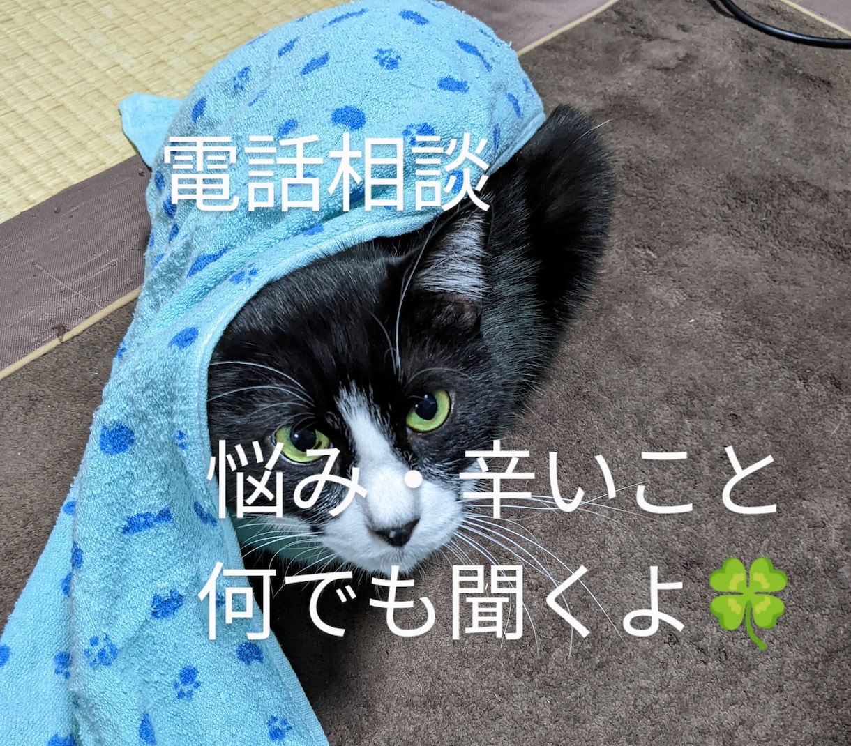 あなたの悩みや愚痴を聞きます アドバイスや診断はしません。とにかく誰かと話したい方の窓口。 イメージ1