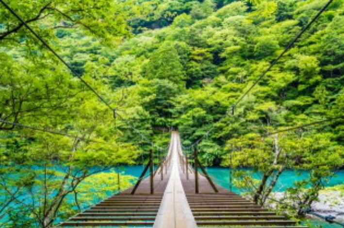 話したら癒される。そして、次の１歩も見えてきます 恋愛・不登校・親子関係・夫婦関係・社内問題を得意とします！ イメージ1