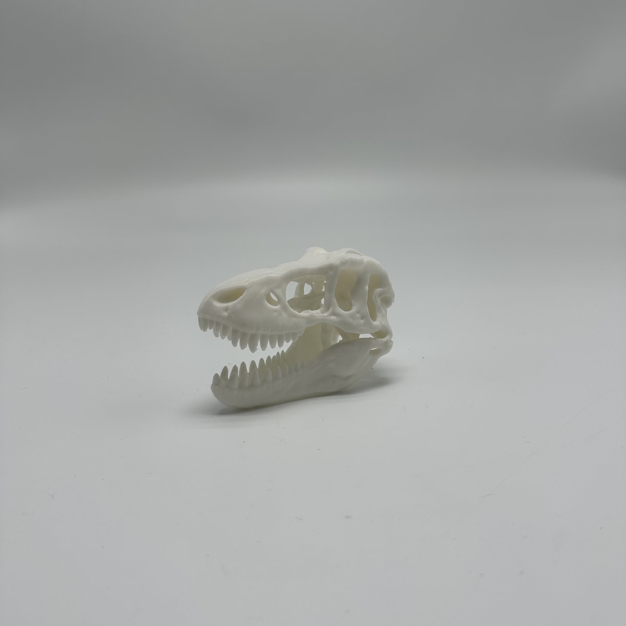 3Dの造形代行を行います バンブーラボH2Dを使って、お客様のデータを造形代行致します イメージ8