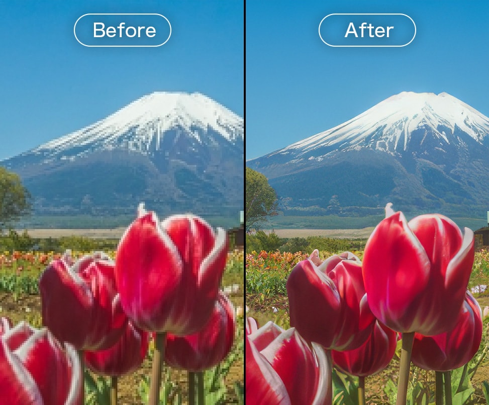 低解像度の写真をAIで拡大・高画質化します デザイナー歴25年・守秘義務厳守で対応いたします イメージ6