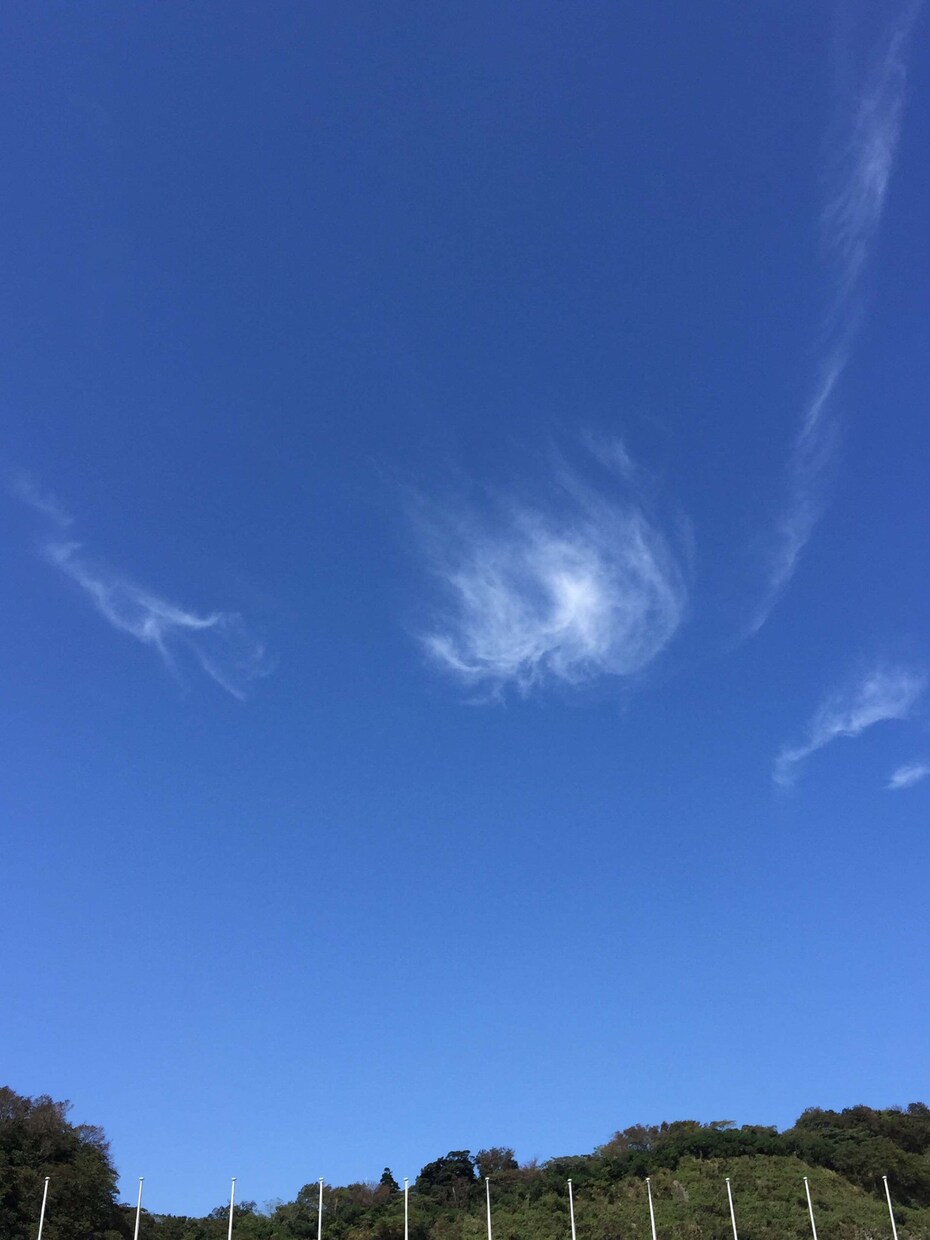 些細なことも言いにくい事もゆっくり伺います 短いお話でも大丈夫。声を出してみませんか？ イメージ8
