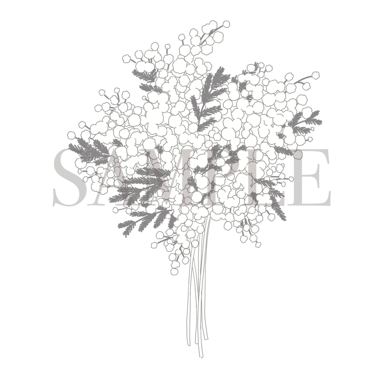 実用的で使いやすい線画のボタニカルイラスト描きます 使用用途を選ばないシンプルな線画、どんな媒体にもおすすめ！ イメージ4