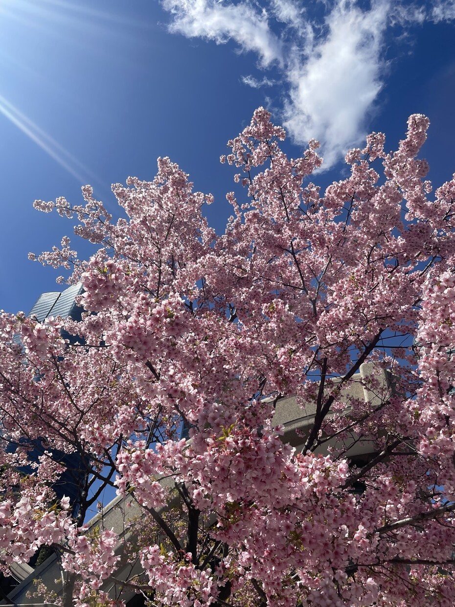 お話しして心が穏やかになります 辛い時は、他人に吐き出し楽になってください。 イメージ1