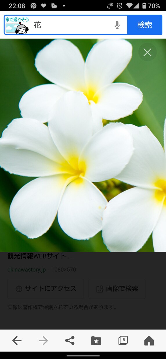 お聞きします 心が回復すると幸せです。力が湧いてきます イメージ1