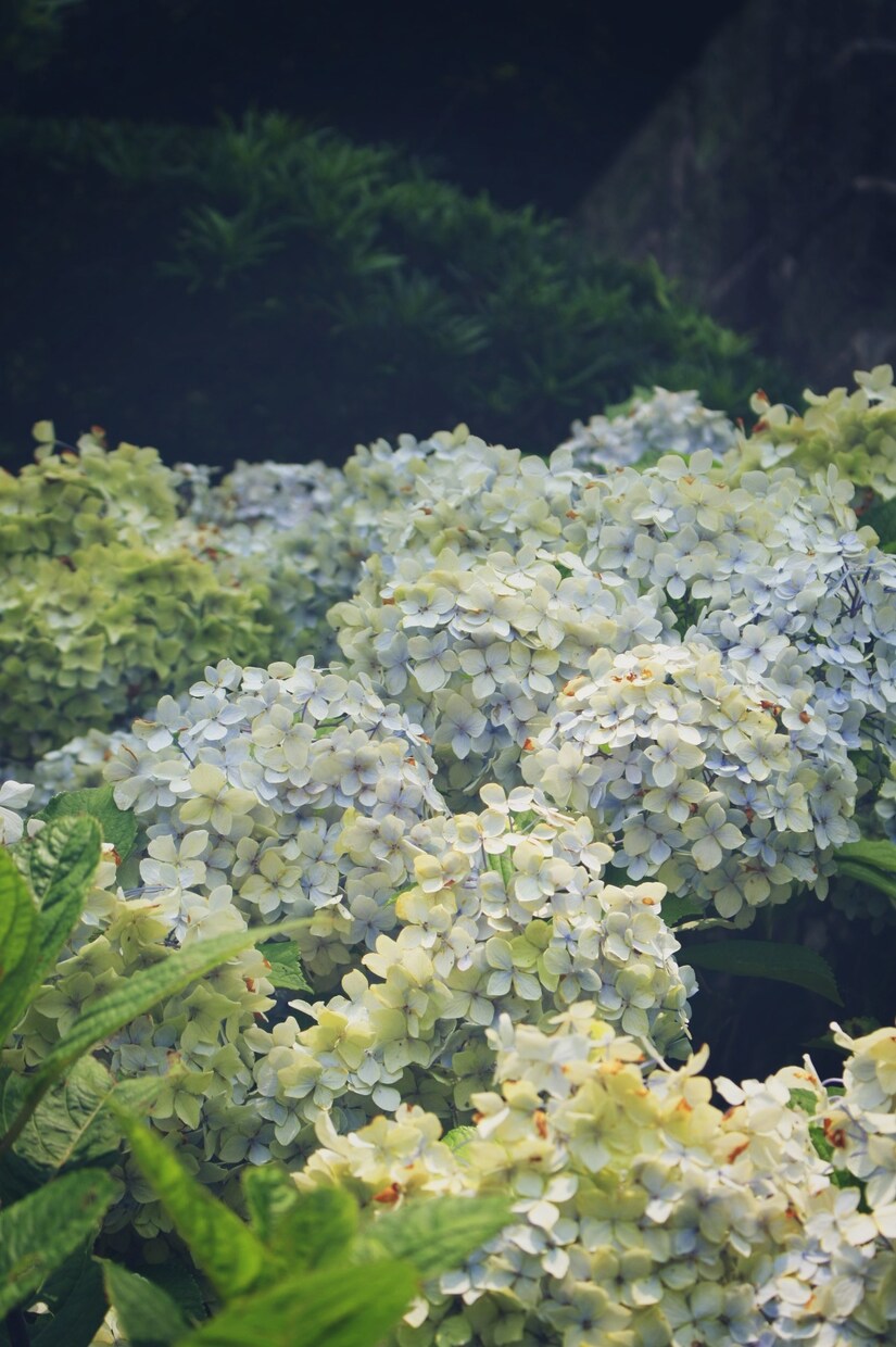 季節に応じた写真提供いたします 日本の四季や文化、風景ををお届けいたします。 イメージ5