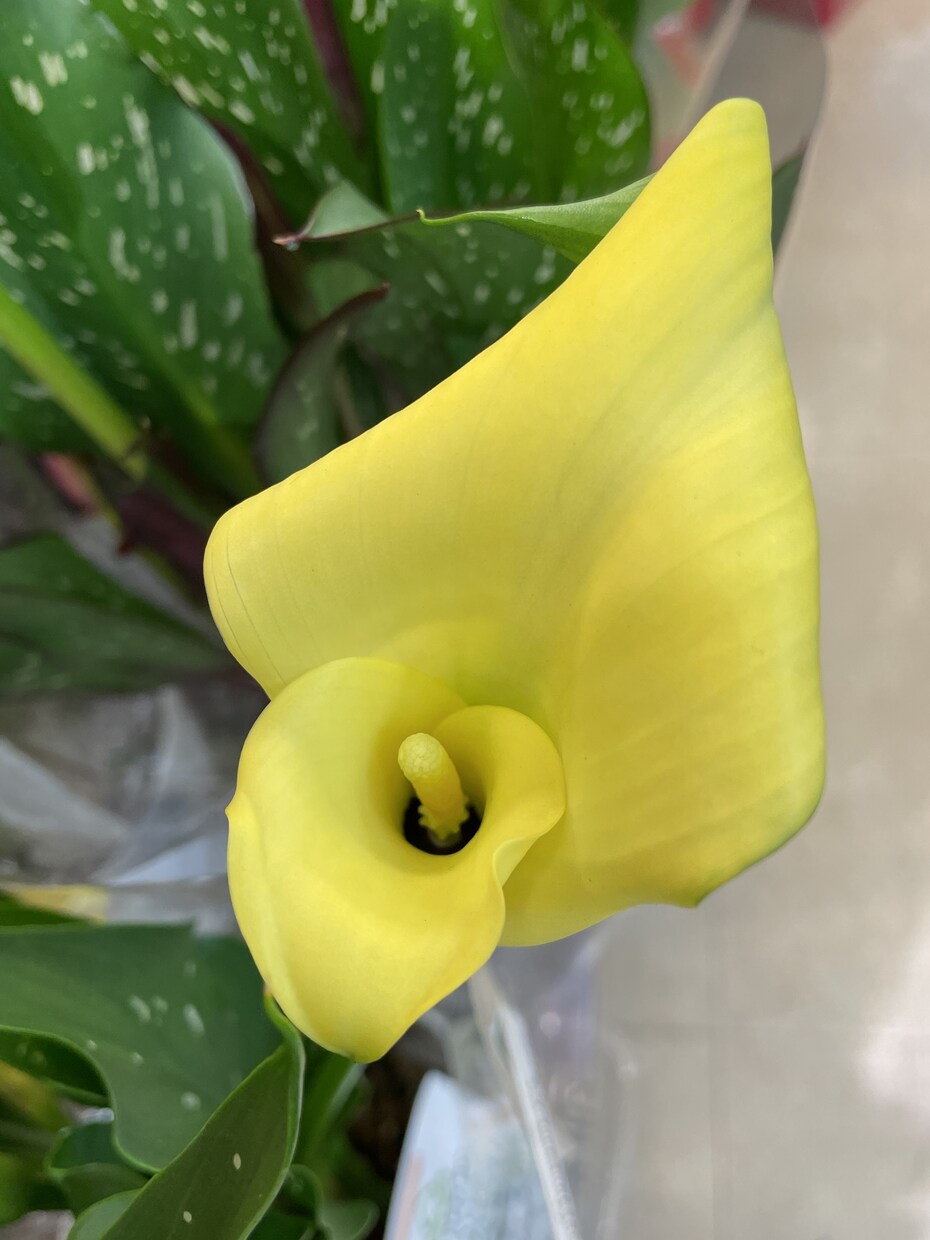 この世に生まれてきたあなたの使命をズバリ占います あなたが生まれて来たこの世での使命をズバリ占ってお伝えします イメージ7