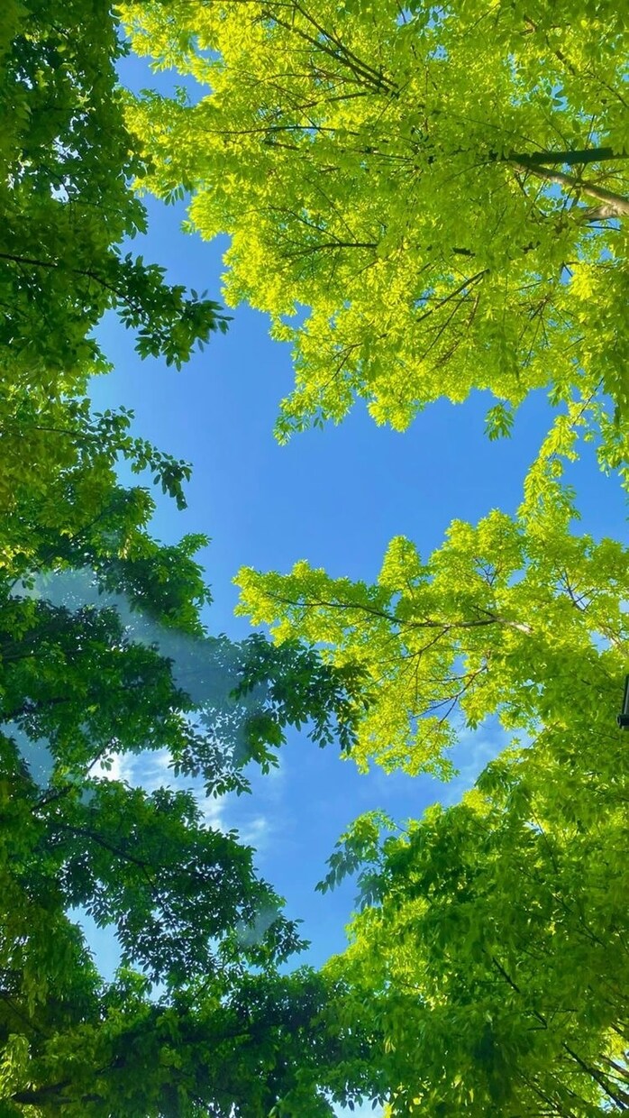 あなたの不満や愚痴を聞きます 悩みに寄り添い、解決方法を一緒に考えます！ イメージ1