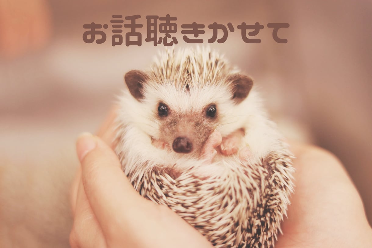 心理学ベースの傾聴で⭐️あなたを全肯定します ⭐️今日の出来事やお悩み・雑談など⭐️お聴かせ下さい⭐️ イメージ1
