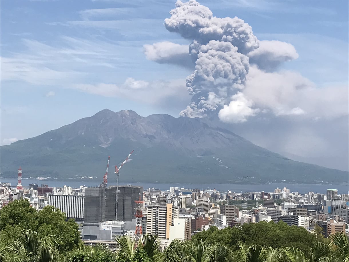 鹿児島市内の土地建物維持管理・墓参代行します 帰郷がままならない方に代わって、点検・清掃をお引き受けします イメージ1