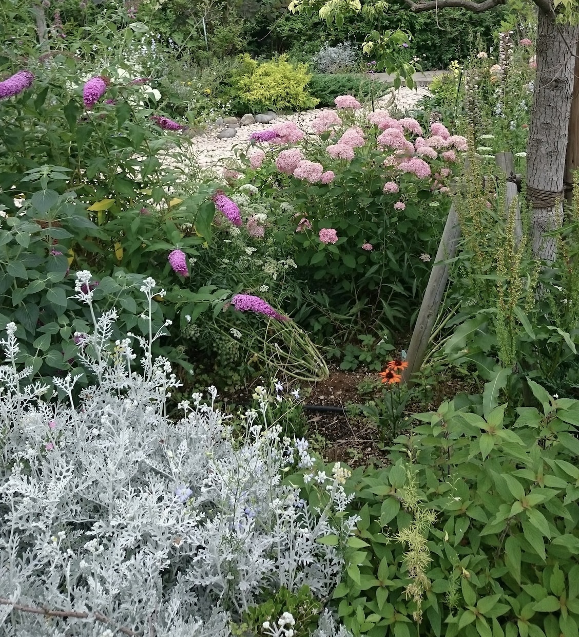お庭づくりやお困りごとにプロがお答えします 植物の手入れから庭づくりまで、お庭の悩みを気軽に相談 イメージ1