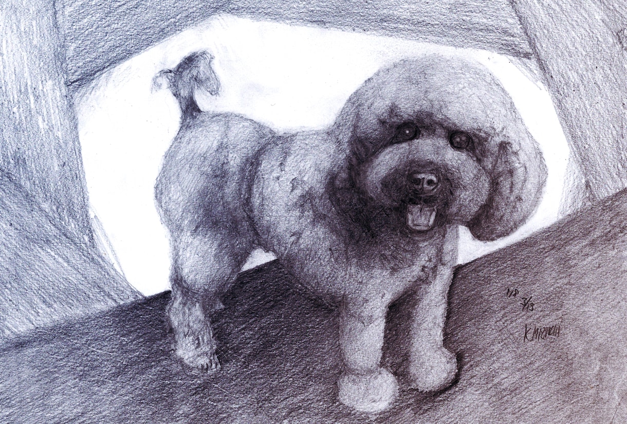 温かみのある鉛筆画でペットさんの絵をお届けします いろいろな動物描けます！記念やプレゼント用に イメージ7