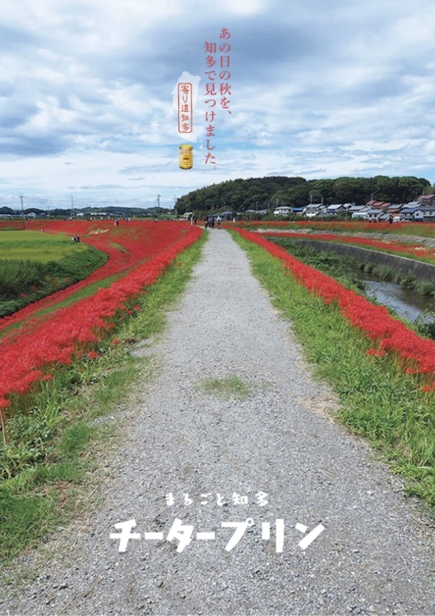 SNSで目立つ広告作ります 学生の作るものなので格安で作成します。 イメージ4
