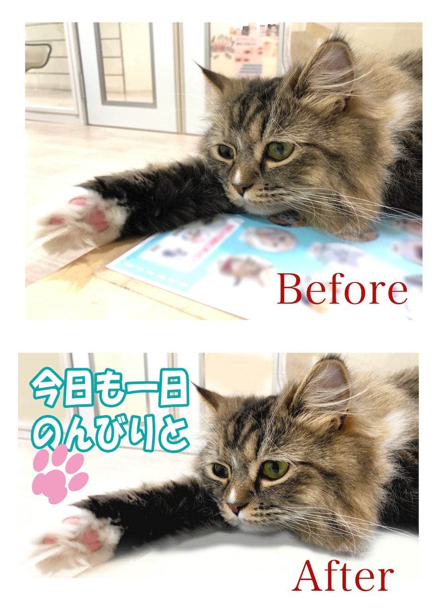 画像編集致します 写真の加工、合成、切り抜き、文字入れ、画像編集を致します！ イメージ1
