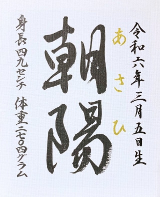 大切なお子様の命名書、筆耕士がお書きします ★記念の一枚、心を込めて美しく書き上げます イメージ8