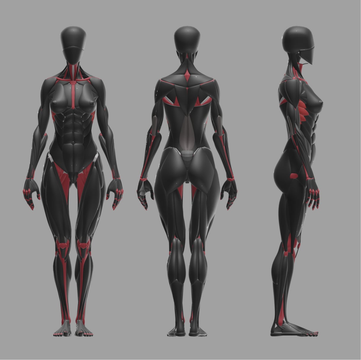 CGの人体模型作ります ---ケロロケ CG anatomy--- イメージ1