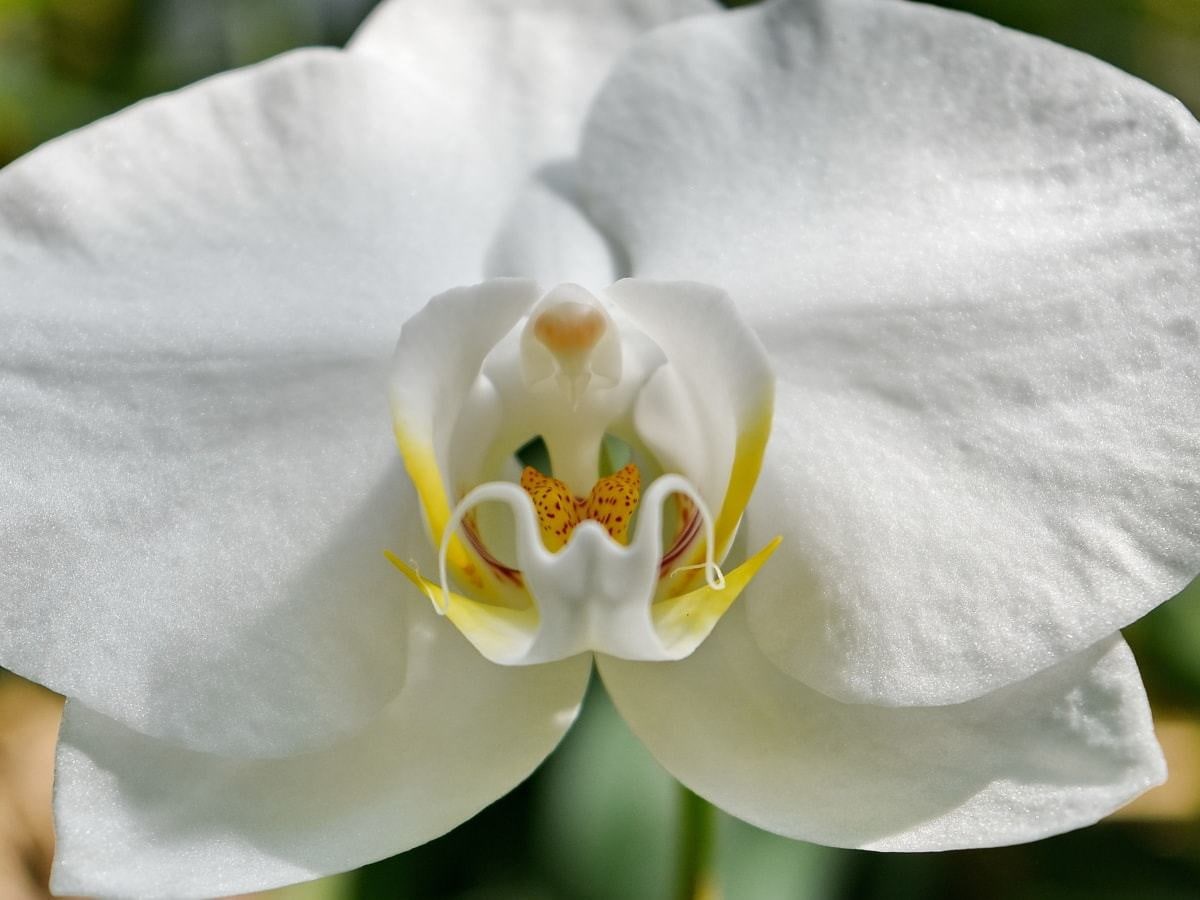月帝虹龍神。想い人を引きつけ人生恋愛向上に導きます 千里眼、月帝虹龍神、神霊感で幸せ向上ヒーリング早く楽しい毎日 イメージ5