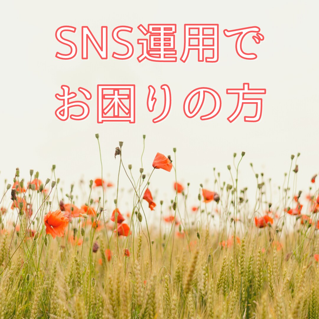 SNS運用でのお困りごとの相談を受け付けております 美容関係のインスタグラムを活用したい方へ イメージ1