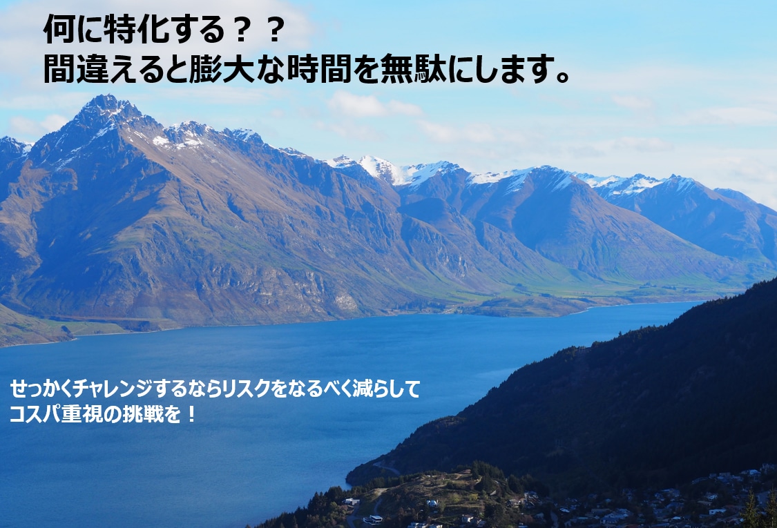 特化ブログは稼げない？収益化までの体験談を教えます 特化ブログで稼げない理由！雑記ブログをやめて特化ブログ専門に イメージ6