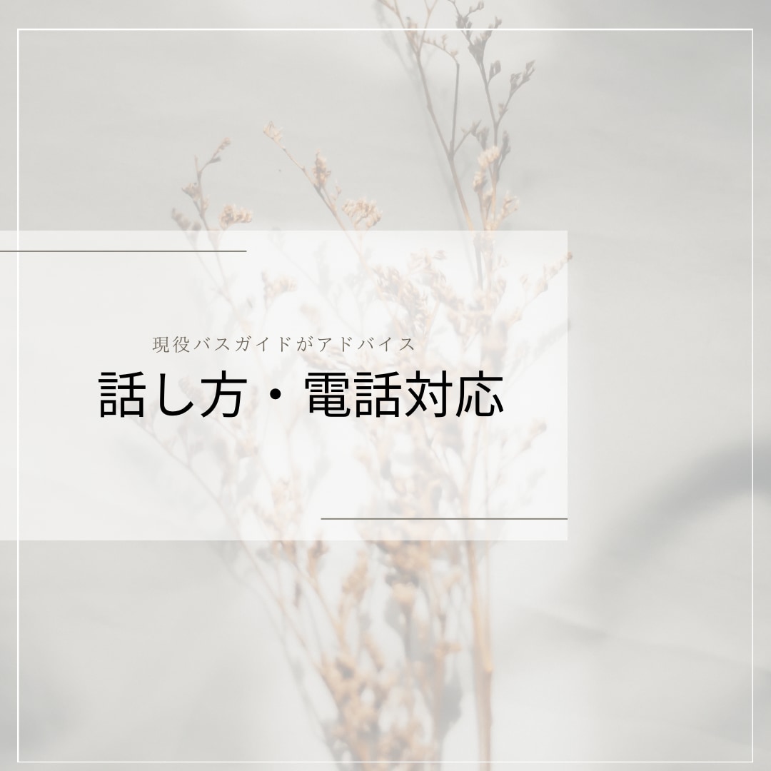 現役バスガイドが話し方のコツ教えます 現役バスガイドが伝わる、聞いて貰える話し方をお伝えします。 イメージ1