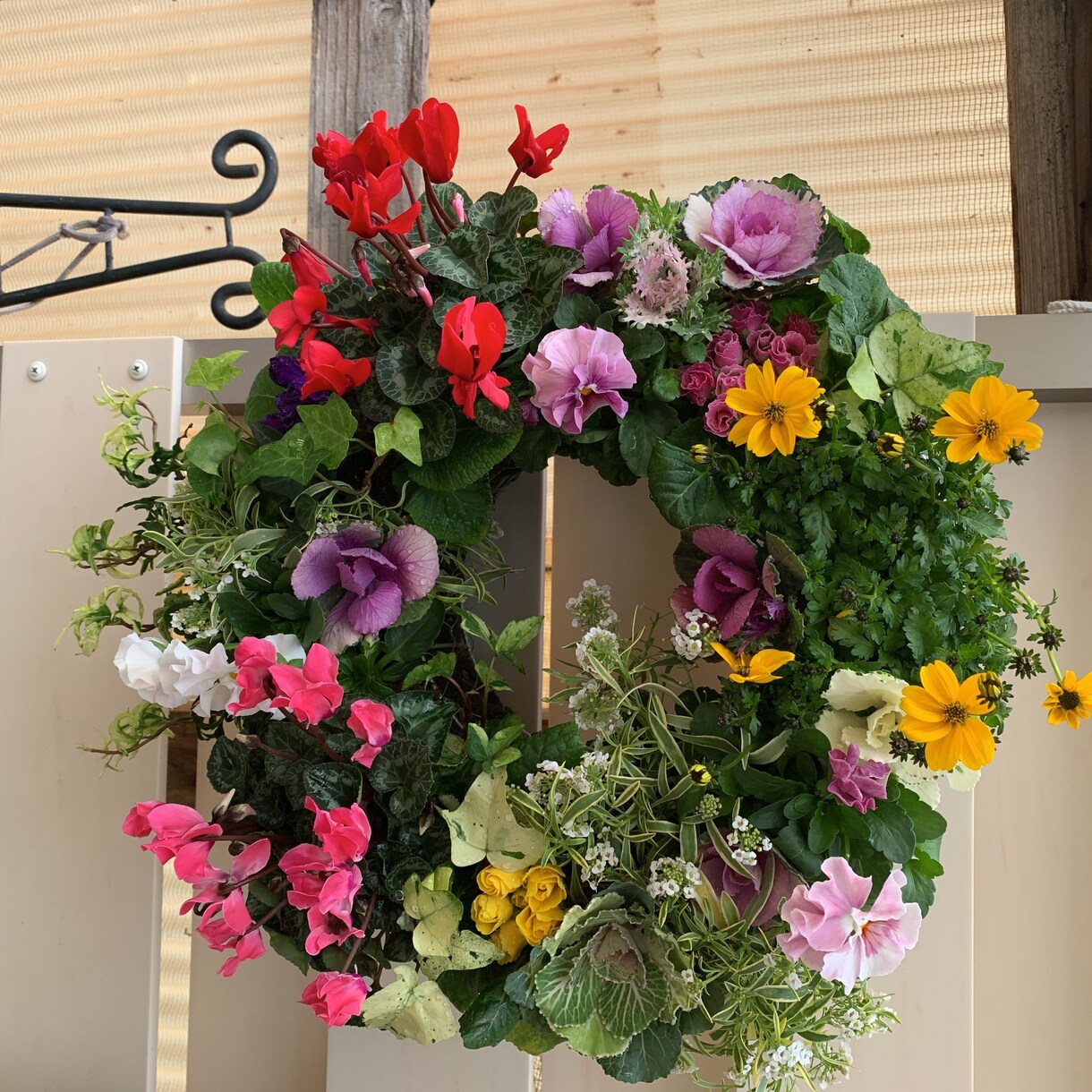 寄せ植えを作ります 四季折々の寄せ植え達をお届けします イメージ6