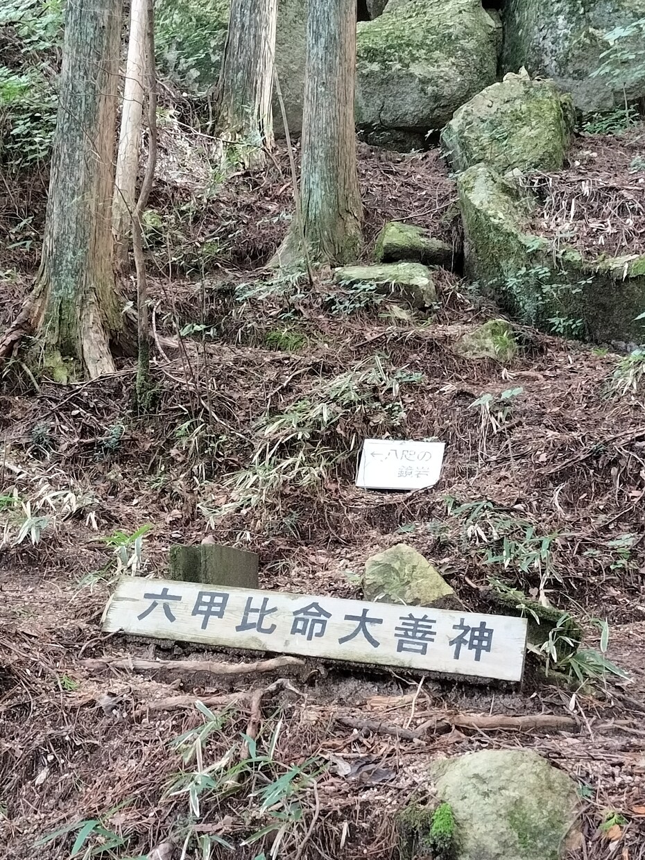 光と愛の将棋道 — 3日間自由セッションしています あなたの現局面から光と愛のカウンセリングしていきます イメージ10