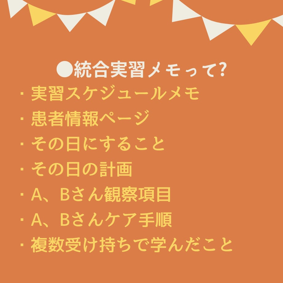 看護実習記録集★アセスメントのテンプレ教えます 超絶安心！看護実習【まるごと】パック★実習記録事例、報告、等 イメージ7