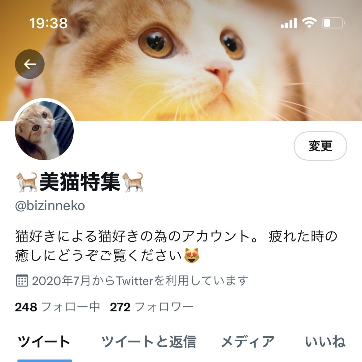 Instagram /Twitter運用代行します アパレル経営者が IG・Twitter運用代行致します。 イメージ7
