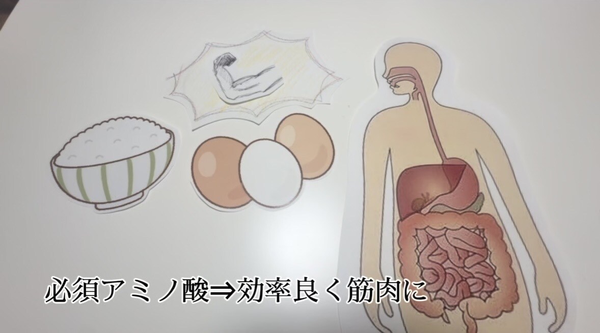 食事・運動・生活習慣を一緒に見直します 無理せず続ける健康習慣！目指しましょう！ イメージ2