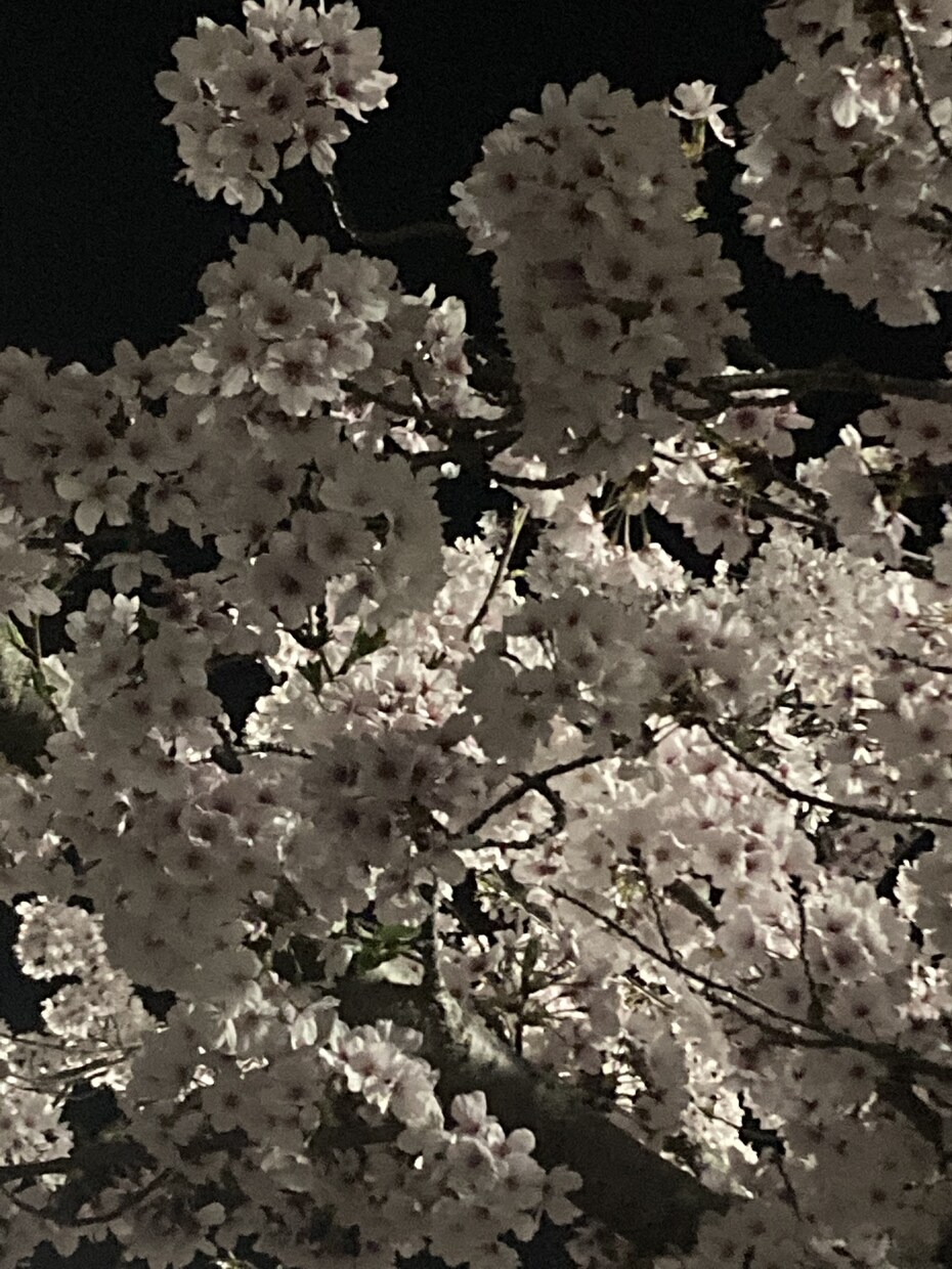 あなたの愚痴いつでも言って下さい待ってます 友人にも言えない事ありますよね？私に話しかけて下さい。 イメージ1